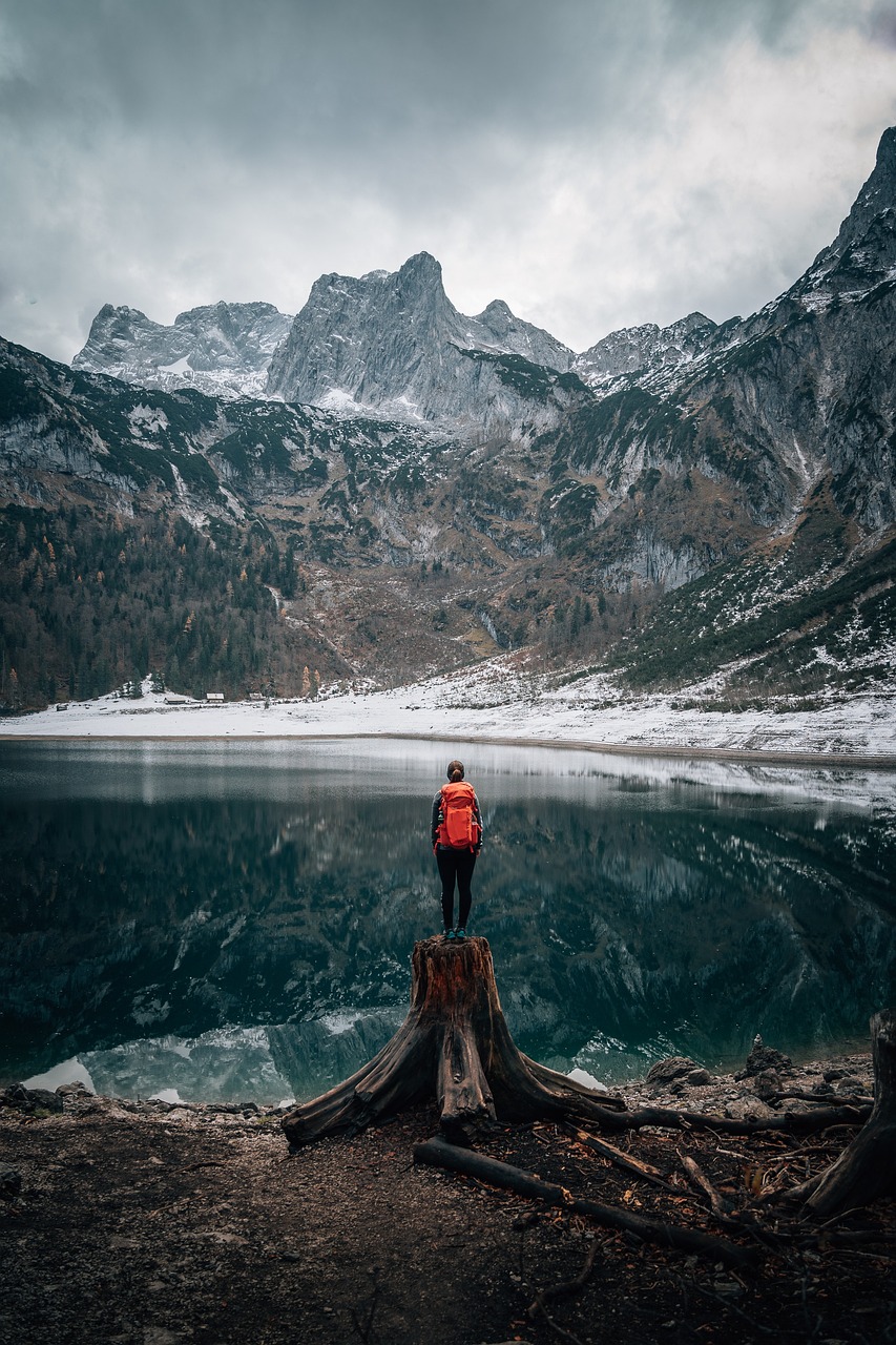 tst1 nature-6817376_1280.jpg